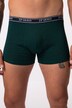 JP 1880 Hip-Pants FLEXNAMIC®, pakke med 2 stk., underbukser, op til 7 XL