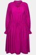 Ruffle Collar Long Sleeve A-Line Dress