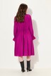 Ruffle Collar Long Sleeve A-Line Dress