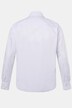 Men+ business-skjorte, lange ærmer, EasyCare, Kent-krave, Comfort Fit, op til str. 8 XL
