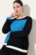 Trui, colorblocking, ronde hals, lange mouw