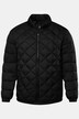 Veste matelassée Men+, col montant - jusqu'au 8 XL
