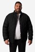 Veste matelassée Men+, col montant - jusqu'au 8 XL