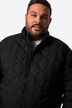 Veste matelassée Men+, col montant - jusqu'au 8 XL