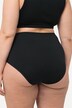 2 Pack Modal Blend Maxi Briefs