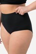 2 Pack Modal Blend Maxi Briefs