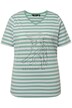 Tričko, proužky, metalický motiv zvířete, výstřih do V, krátké rukávy