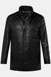Boston Park chaqueta de cuero, cuero, cuello alzado, forro guateado, hasta la 80/82