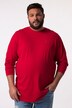 Men+ langærmet T-shirt, Basic, rund hals, op til str. 8 XL