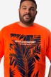 Men+-T-paita, lyhyet hihat, suuri printti, pyöreä pääntie, suurin koko 8XL