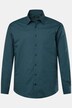 Men+ skjorte, lange ærmer, Kent-krave, comfort fit, op til str. 8XL
