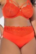 Tanga TruYou, dentelle et microfibre