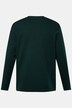 Boston Park T-shirt, lange ærmer, struktur-jersey, op til str. 84/86