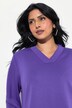 Sweat-shirt, col en V et manches longues, empiècement chemisier intégré