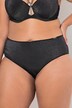 TRUYOU Sparkling Microfiber Panty