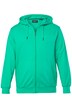 Mikina s kapucí Men+, Basic, do 8XL
