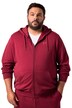 Mikina s kapucí Men+, Basic, do 8XL
