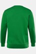Men+ sweatshirt, basic, ronde hals, tot 8XL