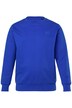 Mikina Men+, Basic, kulatý výstřih, do 8XL