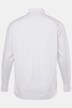 Men+ skjorte, langermet, buttondown-krage, comfort fit, opptil 8 XL