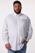 Men+ skjorte, langermet, buttondown-krage, comfort fit, opptil 8 XL