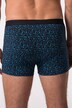 JP 1880 Hip-Pants FLEXNAMIC®, OEKO-TEX, 2er-Pack, Unterhose, bis 8 XL
