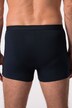 JP 1880 Hip-Pants FLEXNAMIC®, OEKO-TEX, 2er-Pack, Unterhose, bis 8 XL