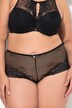 Sheer Lace Boyshort Panty
