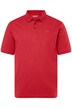 Polokošile Men+, Basic, piké, krátké rukávy, do 8XL