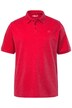 Polokošile Men+, Basic, piké, krátké rukávy, do 8XL