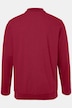 Men+ poloshirt, mavevenlig pasform, Basic, piqué, lange ærmer, op til 8XL