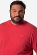 Tričko Men+, Basic, krátké rukávy, výstřih do V, do 8XL