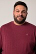Men+ langærmet T-shirt, Basic, rund hals, op til str. 8 XL