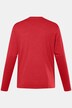 Men+ langærmet T-shirt, Basic, rund hals, op til str. 8 XL