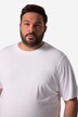 Men+ camiseta, Bauchfit, Basic, media manga, hasta la 8 XL