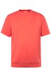 Tričko Men+, břišní střih, Basic, krátké rukávy, do 8XL