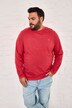Men+ langærmet T-shirt, mavevenlig pasform, specialsnit, Basic, rund hals, op til 8XL