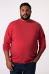 Men+ langærmet T-shirt, mavevenlig pasform, specialsnit, Basic, rund hals, op til 8XL