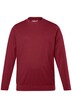 Tričko Men+, dlouhé rukávy, břišní střih, Basic, kulatý výstřih, do 8XL