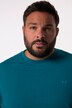 Men+ langærmet T-shirt, mavevenlig pasform, specialsnit, Basic, rund hals, op til 8XL
