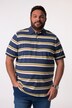 Men+ poloshirt, korte ærmer, striber, op til 8XL