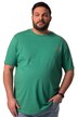 Tričko Men+, krátké rukávy, velký potisk na zádech, kulatý výstřih, do 8XL