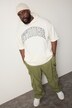 STHUGE Hoodie, Halbarm, Brustprint, bis 8 XL