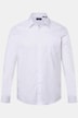 Camicia da ufficio Men+ dalla vestibilità comoda in tessuto EasyCare con colletto ad apertura inglese e maniche lunghe, fino alla tg. 8XL