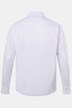 Camicia da ufficio Men+ dalla vestibilità comoda in tessuto EasyCare con colletto ad apertura inglese e maniche lunghe, fino alla tg. 8XL