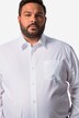 Camicia da ufficio Men+ dalla vestibilità comoda in tessuto EasyCare con colletto ad apertura inglese e maniche lunghe, fino alla tg. 8XL