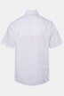 Business košile Men+, krátké rukávy, Easy Care, Kent límeček, Comfort střih, do 8XL