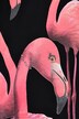 T-skjorte, flamingo, dekorative steiner, rund hals, halvermet