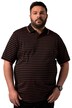 Polokošile Men+, krátké rukávy, žerzej, pruhy, do 8XL