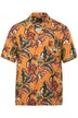 Košile JP1880, viskóza, krátké rukávy, Cuba límeček, plošný potisk, Cuba střih, do 8XL